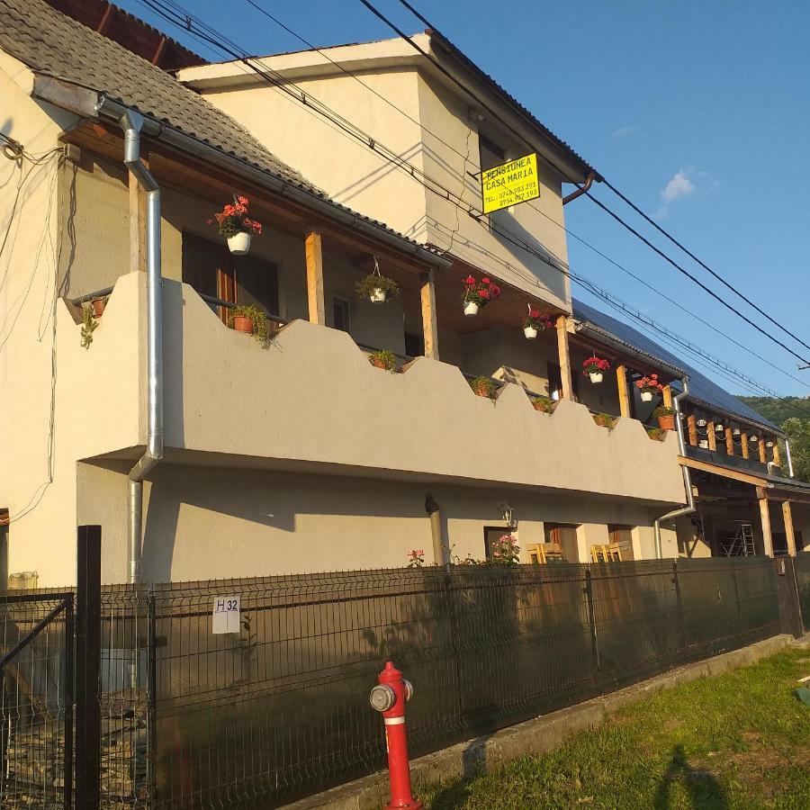 Pensiunea Casa Maria Vişeu de Sus Exterior foto